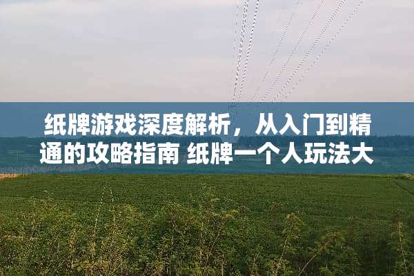 纸牌游戏深度解析，从入门到精通的攻略指南 纸牌一个人玩法大全
