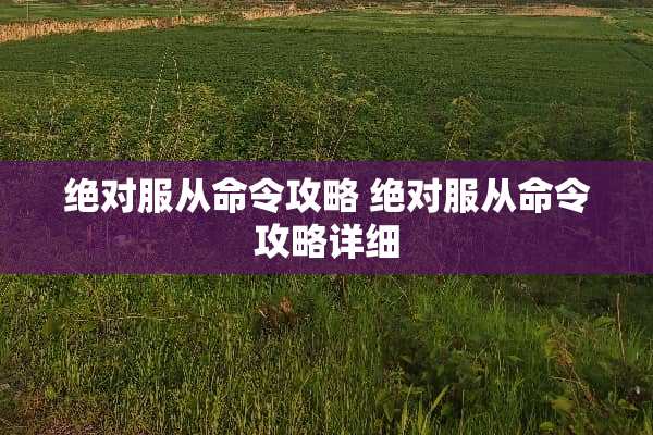 绝对服从命令攻略 绝对服从命令攻略详细