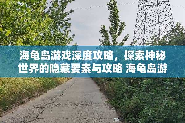 海龟岛游戏深度攻略，探索神秘世界的隐藏要素与攻略 海龟岛游戏攻略