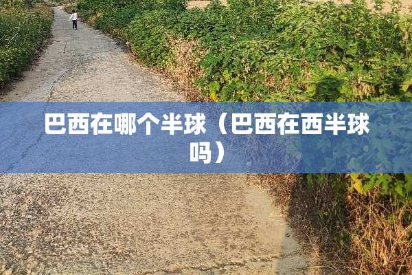 巴西在哪个半球（巴西在西半球吗）