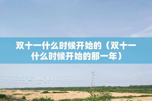 双十一什么时候开始的（双十一什么时候开始的那一年）