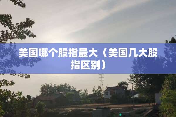 美国哪个股指最大（美国几大股指区别）