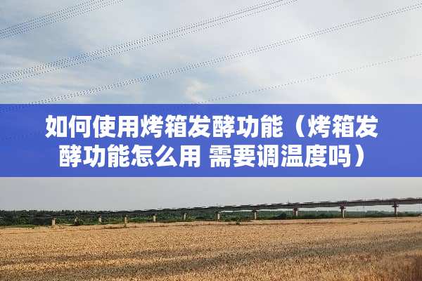 如何使用烤箱发酵功能（烤箱发酵功能怎么用 需要调温度吗）