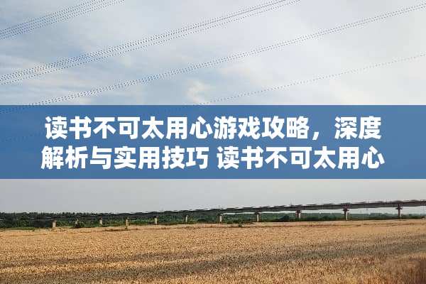 读书不可太用心游戏攻略，深度解析与实用技巧 读书不可太用心游戏攻略