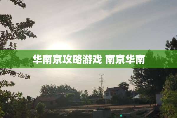 华南京攻略游戏 南京华南 华南京攻略游戏 南京华南