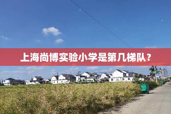 上海尚博实验小学是第几梯队？