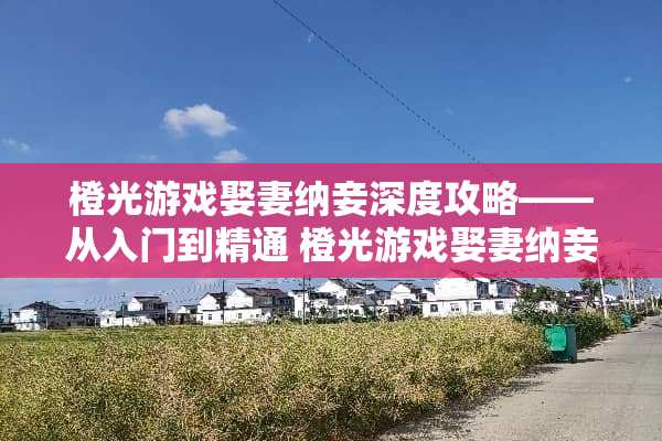 橙光游戏娶妻纳妾深度攻略——从入门到精通 橙光游戏娶妻纳妾攻略