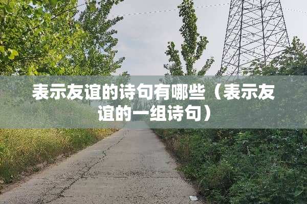 表示友谊的诗句有哪些（表示友谊的一组诗句）