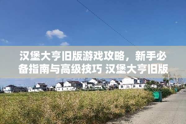 汉堡大亨旧版游戏攻略，新手必备指南与高级技巧 汉堡大亨旧版游戏攻略