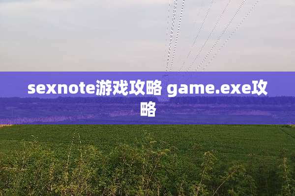 sexnote游戏攻略 game****攻略