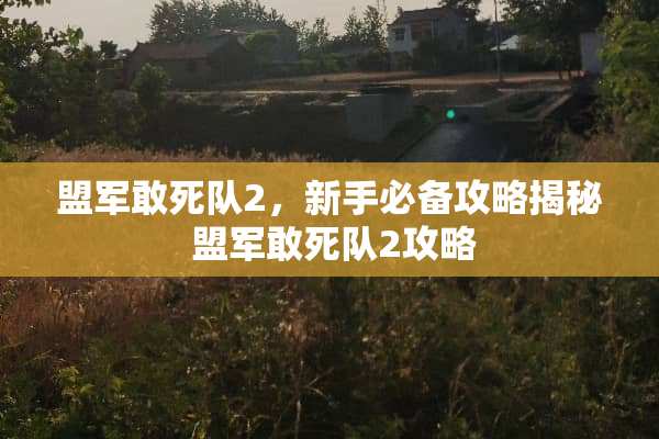 盟军敢死队2，新手必备攻略揭秘 盟军敢死队2攻略