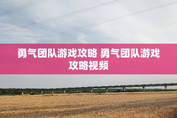 勇气团队游戏攻略 勇气团队游戏攻略视频