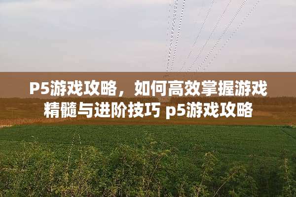 P5游戏攻略，如何高效掌握游戏精髓与进阶技巧 p5游戏攻略