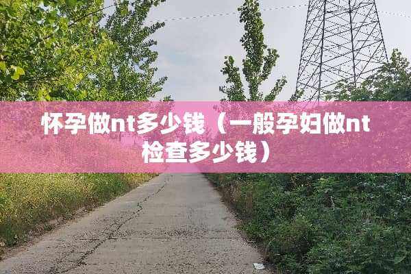 怀孕做nt多少钱（一般孕妇做nt检查多少钱）