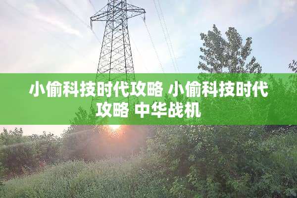 小偷科技时代攻略 小偷科技时代攻略 中华战机