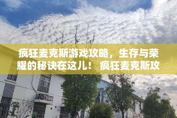 疯狂麦克斯游戏攻略，生存与荣耀的秘诀在这儿！ 疯狂麦克斯攻略