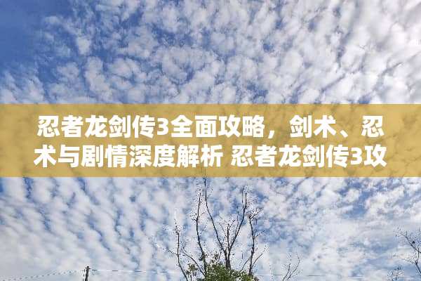 忍者龙剑传3全面攻略，剑术、忍术与剧情深度解析 忍者龙剑传3攻略