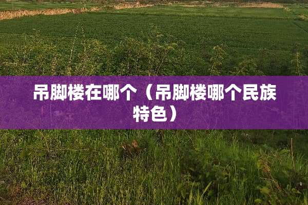 吊脚楼在哪个（吊脚楼哪个民族特色）