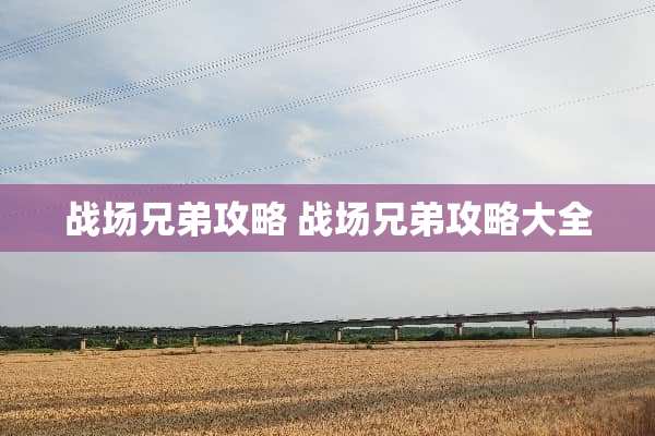 战场兄弟攻略 战场兄弟攻略大全