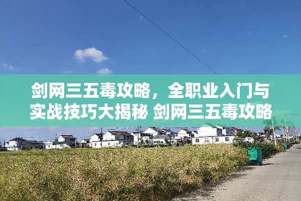 剑网三五毒攻略，**业入门与实战技巧大揭秘 剑网三五毒攻略