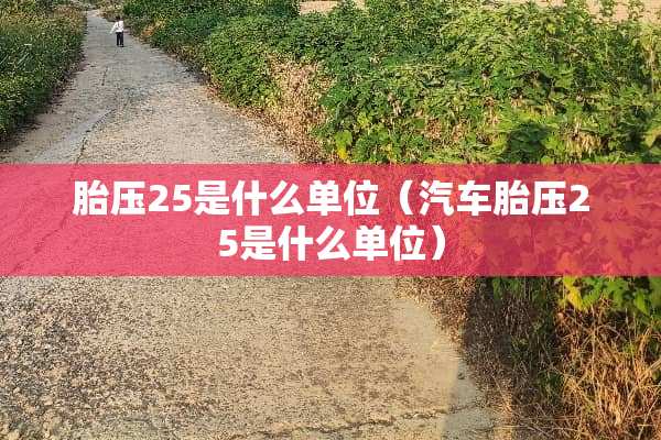 胎压25是什么单位（汽车胎压25是什么单位）