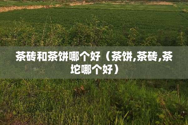 茶砖和茶饼哪个好（茶饼,茶砖,茶坨哪个好）