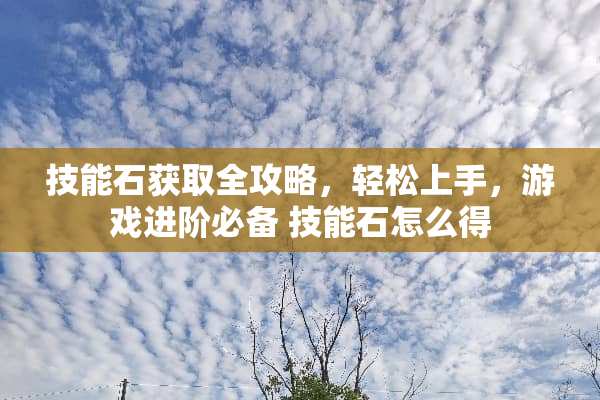 技能石获取全攻略,轻松上手,游戏进阶必备 技能石怎么得 技能石获取全攻略,轻松上手,游戏进阶必备 技能石怎么得