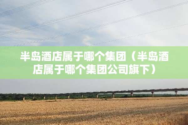 半岛酒店属于哪个集团（半岛酒店属于哪个集团公司旗下）