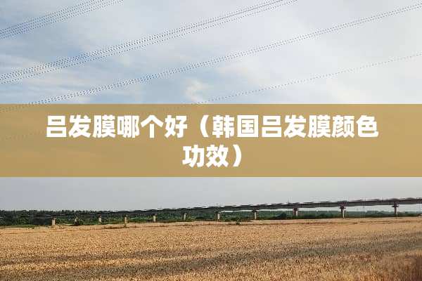 吕发膜哪个好（韩国吕发膜颜色功效）