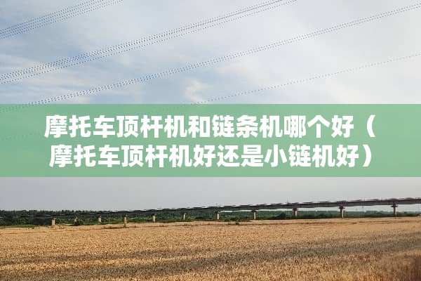 摩托车顶杆机和链条机哪个好（摩托车顶杆机好还是小链机好）