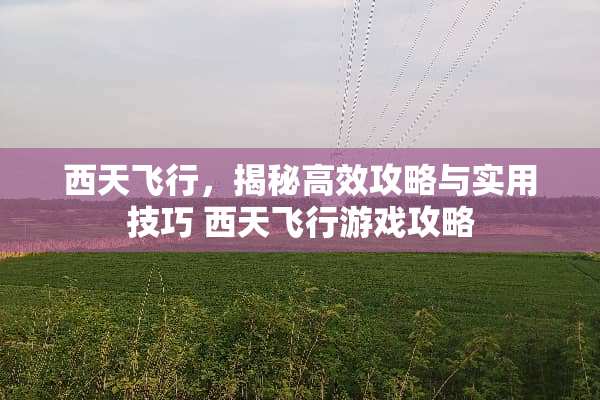 西天飞行，揭秘高效攻略与实用技巧 西天飞行游戏攻略