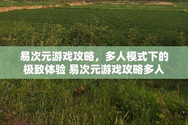 易次元游戏攻略，多人模式下的极致体验 易次元游戏攻略多人
