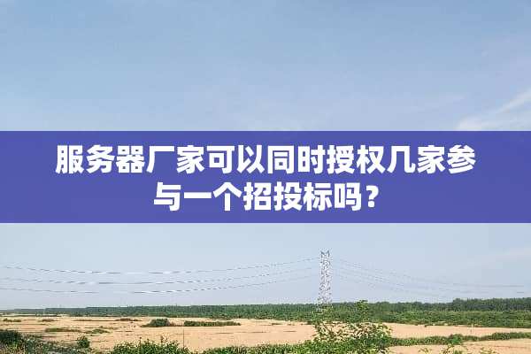服务器厂家可以同时授权几家参与一个招投标吗？