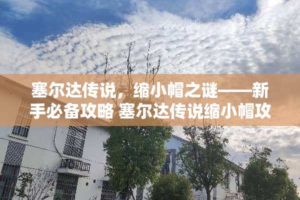 塞尔达传说，缩小帽之谜——新手必备攻略 塞尔达传说缩小帽攻略