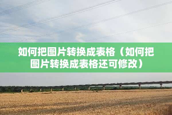 如何把图片转换成表格（如何把图片转换成表格还可修改）
