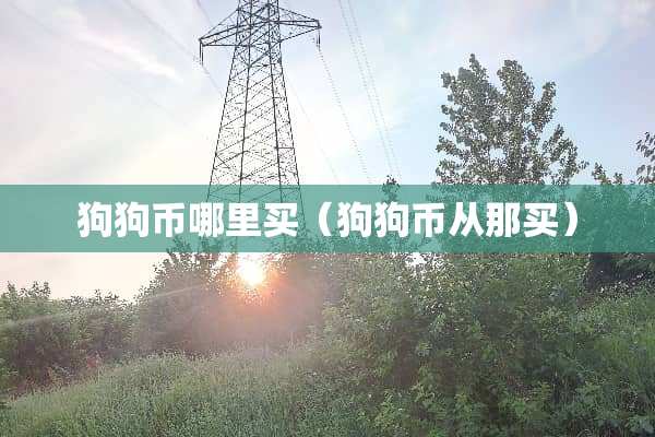 狗狗币哪里买（狗狗币从那买）