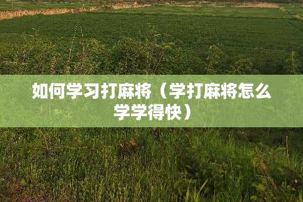 如何学习打**（学打**怎么学学得快）