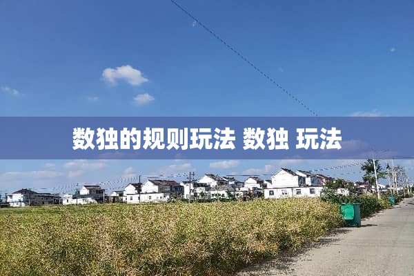 数独的规则玩法 数独 玩法