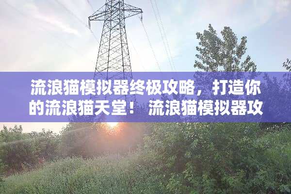 流浪猫模拟器终极攻略，打造你的流浪猫天堂！ 流浪猫模拟器攻略