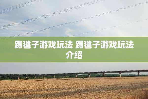 踢毽子游戏玩法 踢毽子游戏玩法介绍