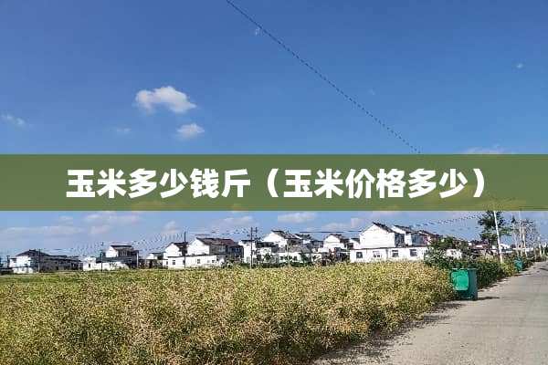 玉米多少钱斤（玉米价格多少）
