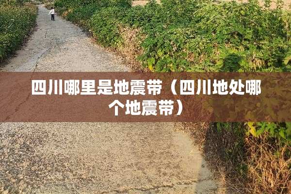 四川哪里是地震带（四川地处哪个地震带）