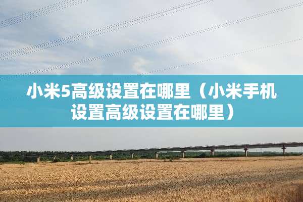 小米5高级设置在哪里（小米手机设置高级设置在哪里）
