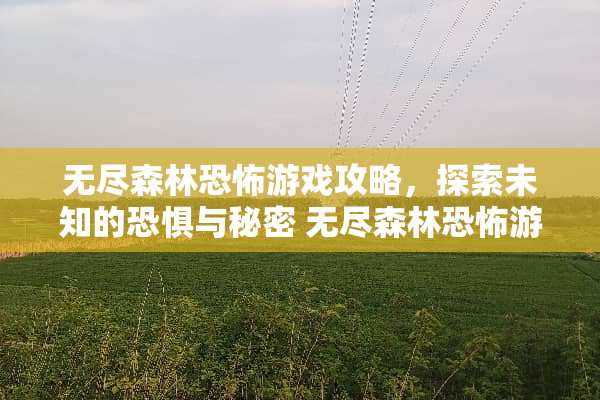 无尽森林恐怖游戏攻略，探索未知的恐惧与秘密 无尽森林恐怖游戏攻略