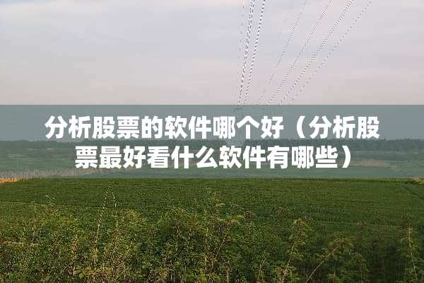 分析股票的软件哪个好（分析股票最好看什么软件有哪些）