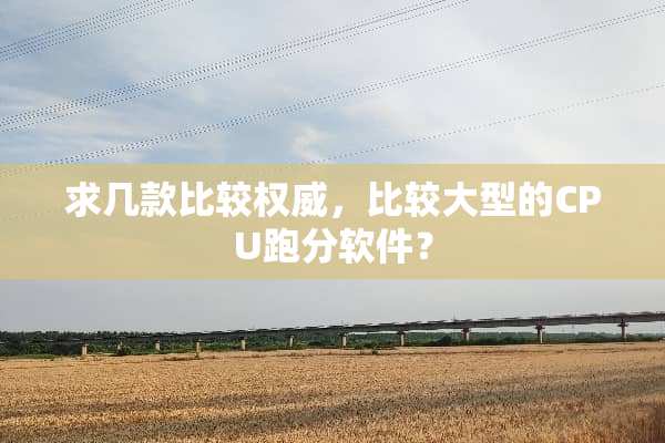 求几款比较权威，比较大型的CPU跑分软件？