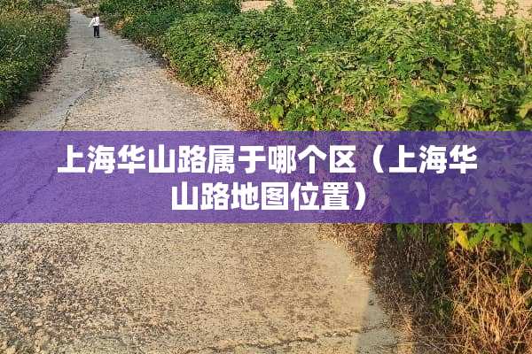 上海华山路属于哪个区（上海华山路地图位置）