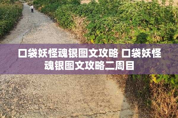 口袋妖怪魂银图文攻略 口袋妖怪魂银图文攻略二周目 口袋妖怪魂银图文攻略 口袋妖怪魂银图文攻略二周目