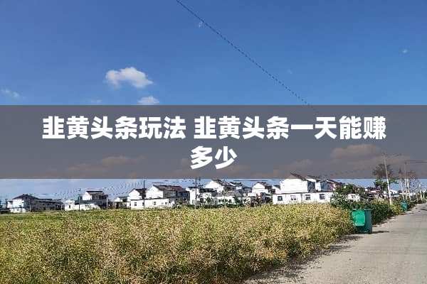 韭黄头条玩法 韭黄头条一天能赚多少