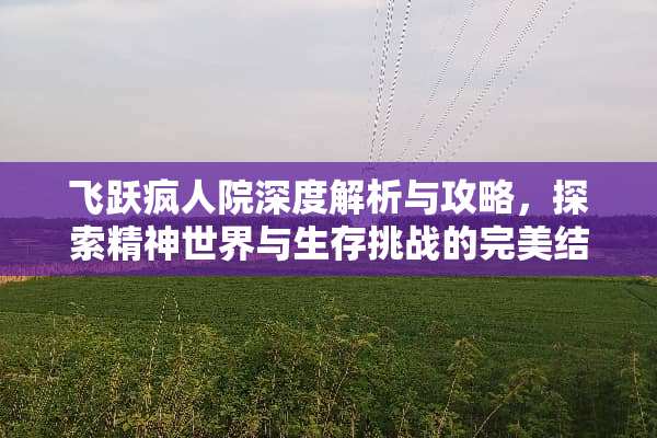 飞跃疯人院深度解析与攻略，探索精神世界与生存挑战的完美结合 飞跃疯人院游戏攻略